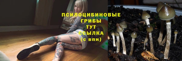 наркотики Алексеевка