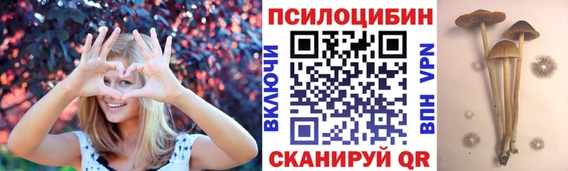 omg ссылка  Анадырь  Псилоцибиновые грибы MAGIC MUSHROOMS 